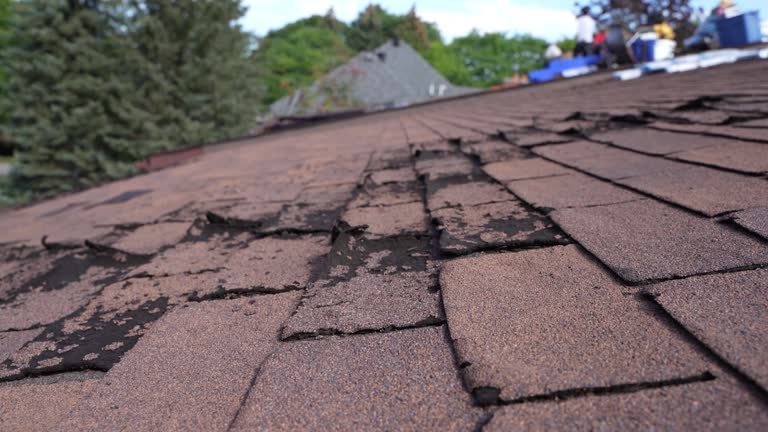 Best Chimney Flashing Repair  in Clayton, OH