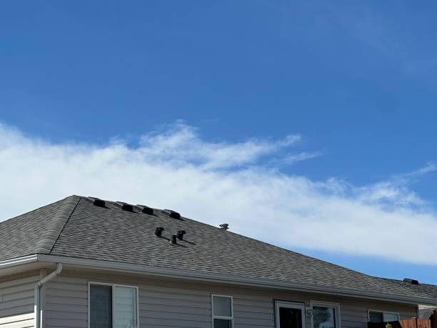 Best Asphalt Shingles Roofing  in Clayton, OH